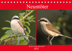 Neuntöter – Kleiner Vogel, ganz groß! (Tischkalender 2022 DIN A5 quer) von Andreas Lederle,  Kevin