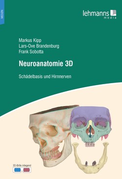 Neuroanatomie 3D von Brandenburg,  Lars-Ove, Kipp,  Markus, Sobotta,  Frank