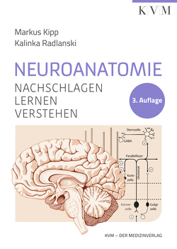 Neuroanatomie von Kipp,  Markus, Radlanski,  Kalinka