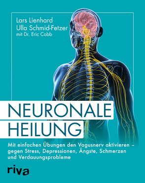Neuronale Heilung von Cobb,  Eric, Lienhard,  Lars, Schmid-Fetzer,  Ulla