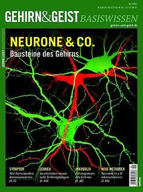 Neurone & Co.