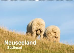 Neuseeland – Südinsel (Wandkalender 2019 DIN A2 quer) von Dworschak,  Martin