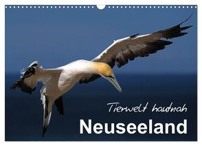 Neuseeland – Tierwelt hautnah (Wandkalender 2024 DIN A3 quer), CALVENDO Monatskalender von BÖHME,  Ferry