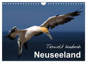 Neuseeland – Tierwelt hautnah (Wandkalender 2024 DIN A4 quer), CALVENDO Monatskalender von BÖHME,  Ferry