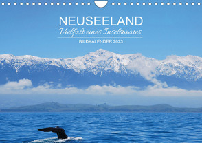 Neuseeland, Vielfalt eines Inselstaates, Bildkalender 2023 (Wandkalender 2023 DIN A4 quer) von Desh,  Susa