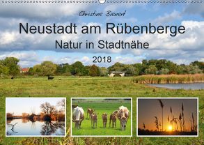 Neustadt am Rübenberge Natur in Stadtnähe (Wandkalender 2018 DIN A2 quer) von Bienert,  Christine