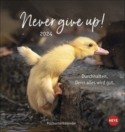 Never give up! Postkartenkalender 2024