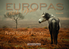 New Forest Ponys von Ettl,  Renate