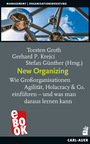 New Organizing von Groth,  Torsten, Günther,  Stefan, Krejci,  Gerhard P.