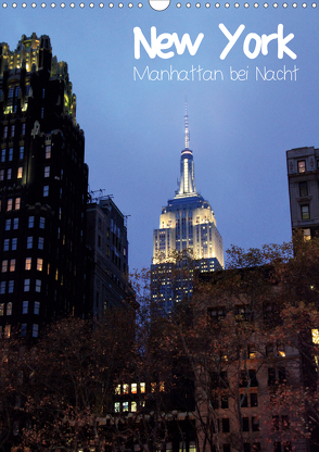 New York – Manhattan bei Nacht (Wandkalender 2020 DIN A3 hoch) von Thiem-Eberitsch,  Jana