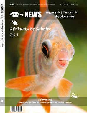 NEWS Bookazine Nr. 8 (Frühjahr 2020) von Schäfer,  Frank