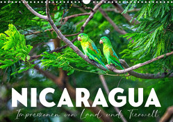 Nicaragua – Impressionen von Land und Tierwelt. (Wandkalender 2023 DIN A3 quer) von SF