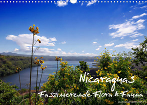 Nicaraguas faszinierende Flora & Fauna (Wandkalender 2023 DIN A3 quer) von Danica Krunic,  Dr.