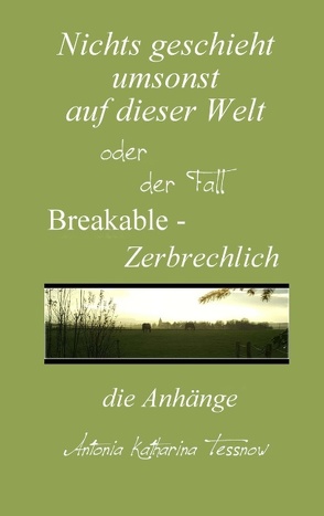 Nichts geschieht umsonst auf dieser Welt von Tessnow,  Antonia Katharina