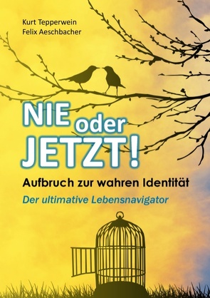 Nie oder Jetzt! Aufbruch zur wahren Identität von Aeschbacher,  Felix, Tepperwein,  Kurt