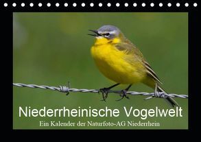 Niederrheinische Vogelwelt (Tischkalender 2019 DIN A5 quer) von Nitzold-Briele (Hrsg.) Naturfoto-AG Niederrhein,  Gudrun
