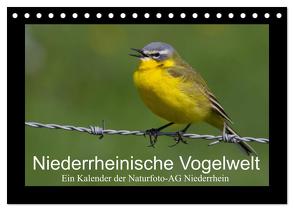 Niederrheinische Vogelwelt (Tischkalender 2024 DIN A5 quer), CALVENDO Monatskalender von Nitzold-Briele (Hrsg.) Naturfoto-AG Niederrhein,  Gudrun