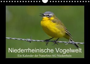 Niederrheinische Vogelwelt (Wandkalender 2018 DIN A4 quer) von Nitzold-Briele (Hrsg.) Naturfoto-AG Niederrhein,  Gudrun