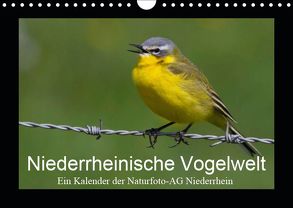 Niederrheinische Vogelwelt (Wandkalender 2019 DIN A4 quer) von Nitzold-Briele (Hrsg.) Naturfoto-AG Niederrhein,  Gudrun