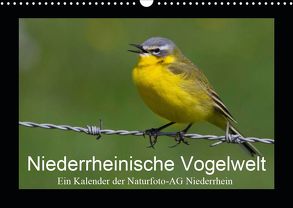 Niederrheinische Vogelwelt (Wandkalender 2020 DIN A3 quer) von Nitzold-Briele (Hrsg.) Naturfoto-AG Niederrhein,  Gudrun