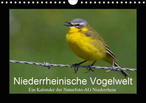 Niederrheinische Vogelwelt (Wandkalender 2020 DIN A4 quer) von Nitzold-Briele (Hrsg.) Naturfoto-AG Niederrhein,  Gudrun