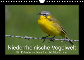 Niederrheinische Vogelwelt (Wandkalender 2022 DIN A4 quer) von Nitzold-Briele (Hrsg.) Naturfoto-AG Niederrhein,  Gudrun