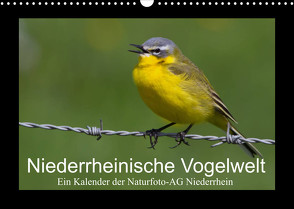 Niederrheinische Vogelwelt (Wandkalender 2023 DIN A3 quer) von Nitzold-Briele (Hrsg.) Naturfoto-AG Niederrhein,  Gudrun