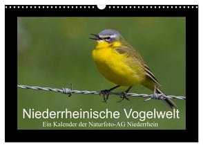 Niederrheinische Vogelwelt (Wandkalender 2024 DIN A3 quer), CALVENDO Monatskalender von Nitzold-Briele (Hrsg.) Naturfoto-AG Niederrhein,  Gudrun