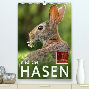 Niedliche Hasen (Premium, hochwertiger DIN A2 Wandkalender 2023, Kunstdruck in Hochglanz) von Roder,  Peter