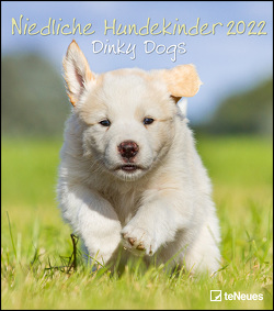 Niedliche Hundekinder 2022 – Wand-Kalender – Tier-Kalender – 30×34