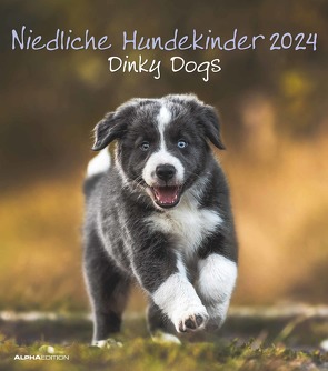 Niedliche Hundekinder 2024 – Wand-Kalender – Tier-Kalender – 30×34