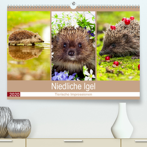 Niedliche Igel 2020. Tierische Impressionen (Premium, hochwertiger DIN A2 Wandkalender 2020, Kunstdruck in Hochglanz) von Lehmann (Hrsg.),  Steffani