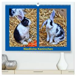 Niedliche Kaninchen (hochwertiger Premium Wandkalender 2024 DIN A2 quer), Kunstdruck in Hochglanz von Kattobello,  Kattobello