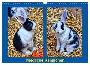 Niedliche Kaninchen (Wandkalender 2024 DIN A3 quer), CALVENDO Monatskalender von Kattobello,  Kattobello