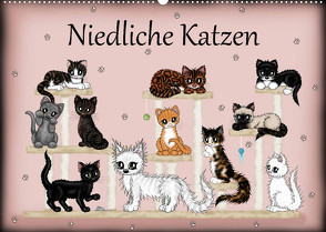 Niedliche Katzen (Wandkalender 2023 DIN A2 quer) von Creation / Petra Haberhauer,  Pezi