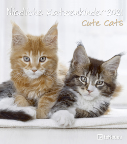 Niedliche Katzenkinder 2021 – Wand-Kalender – Tier-Kalender – 30×34
