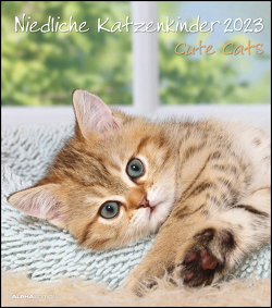 Niedliche Katzenkinder 2023 – Wand-Kalender – Tier-Kalender – 30×34