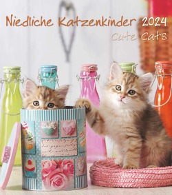 Niedliche Katzenkinder 2024 – Wand-Kalender – Tier-Kalender – 30×34