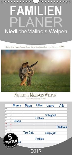 Niedliche Malinois Welpen – Familienplaner hoch (Wandkalender 2019 , 21 cm x 45 cm, hoch) von Wrede,  Martina