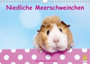 Niedliche Meerschweinchen (Wandkalender 2018 DIN A4 quer) von Hutfluss,  Jeanette