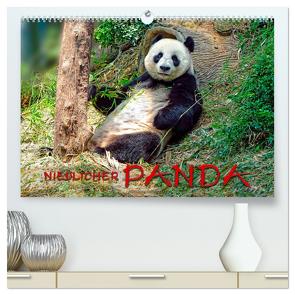 Niedlicher Panda (hochwertiger Premium Wandkalender 2024 DIN A2 quer), Kunstdruck in Hochglanz von Roder,  Peter