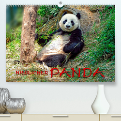 Niedlicher Panda (Premium, hochwertiger DIN A2 Wandkalender 2023, Kunstdruck in Hochglanz) von Roder,  Peter
