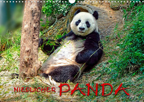 Niedlicher Panda (Wandkalender 2023 DIN A3 quer) von Roder,  Peter