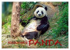 Niedlicher Panda (Wandkalender 2024 DIN A2 quer), CALVENDO Monatskalender von Roder,  Peter