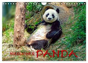 Niedlicher Panda (Wandkalender 2024 DIN A4 quer), CALVENDO Monatskalender von Roder,  Peter