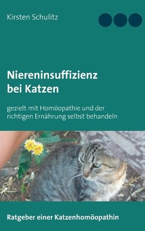 Niereninsuffizienz bei Katzen von Schulitz,  Kirsten