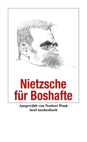 Nietzsche für Boshafte von Nietzsche,  Friedrich, Wank,  Norbert