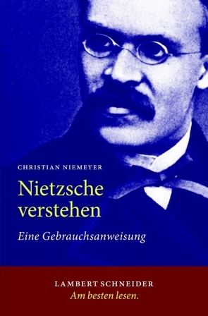 Nietzsche verstehen von Niemeyer,  Christian