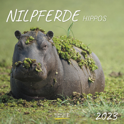 Nilpferde 2023 von Korsch Verlag