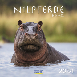 Nilpferde 2024 von Korsch Verlag